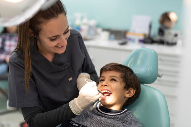 Best Emergency Orthodontic Services in Marine, IL